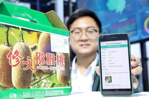 大数据赋能乡村振兴 信息技术咨询的新路径与新机遇